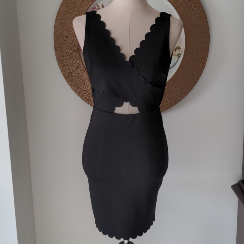 Top Shop Dress
